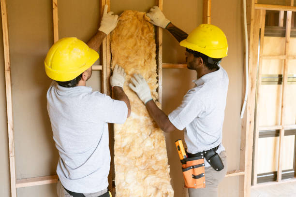 Eco-Friendly or Green Insulation Solutions in Whitmire, SC